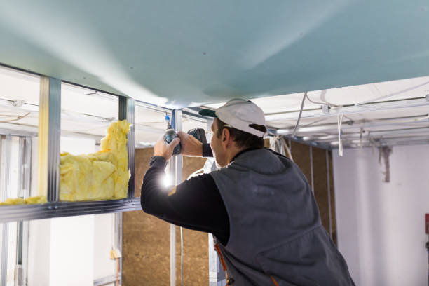 Best Commercial Insulation in Beecher, IL