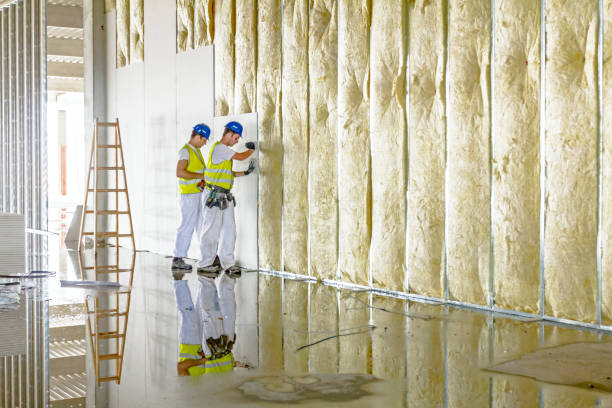 Best Residential Insulation in Beecher, IL